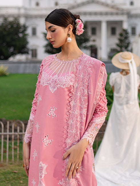 PN-12 | 3 PC Khaddar